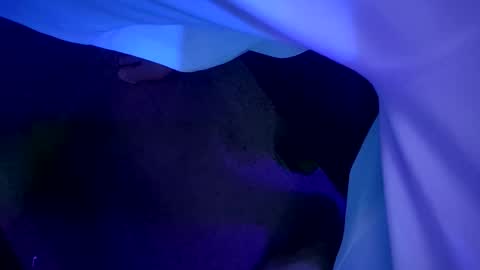 chronicvibez online show from March 2026 03:21:01 AM