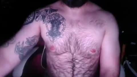 chub bear 99 online show from April 2026 02:26:02 AM