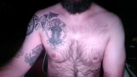 chub bear 99 online show from April 2026 09:37:02 AM