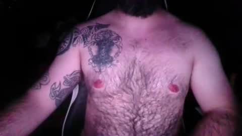 chub bear 99 online show from May 2026 12:27:02 AM