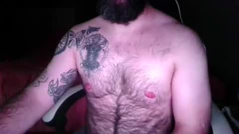 chub bear 99 online show from May 2026 02:28:01 AM