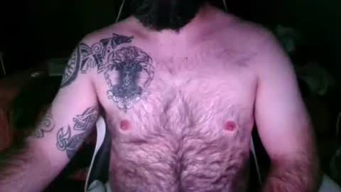 chub bear 99 online show from May 2026 11:10:02 PM