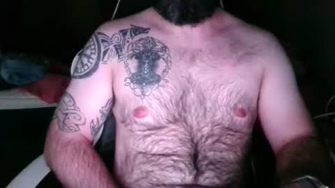 chub bear 99 online show from May 2026 02:19:01 AM