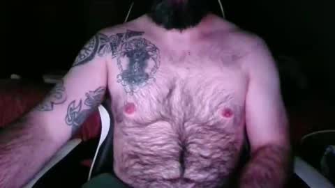 chub bear 99 online show from May 2026 02:53:02 AM