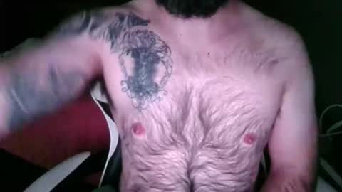chub bear 99 online show from May 2026 10:52:02 AM