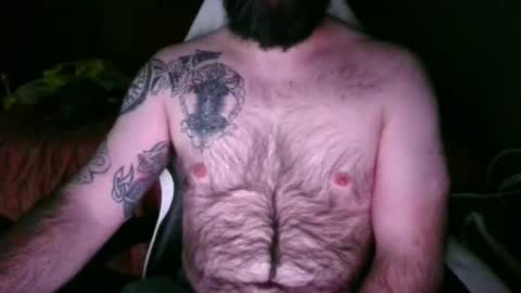 chub bear 99 online show from May 2026 01:21:01 AM