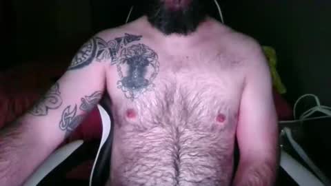 chub bear 99 online show from May 2026 10:44:01 AM