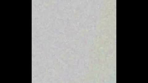 chubbybunnsv online show from December 2024 11:34:02 AM