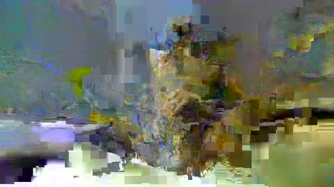 chuck354139 online show from February 2025 03:14:01 PM