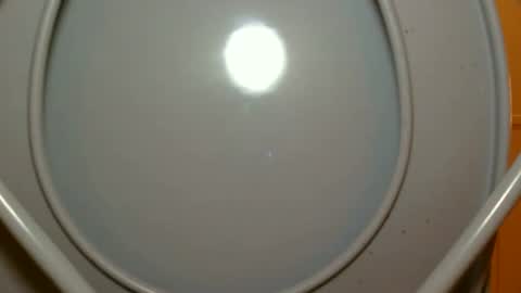 Snapshot of chuck5566 chatting on April 2026 04:55:01 AM chuck5566 online show from April 2026 04:55:01 AM