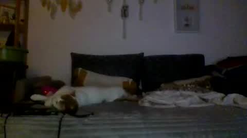 ciasnsyrize1996 online show from March 2025 09:54:02 PM