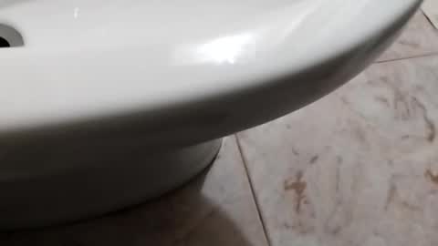 ciccilli online show from October 2025 08:17:02 PM