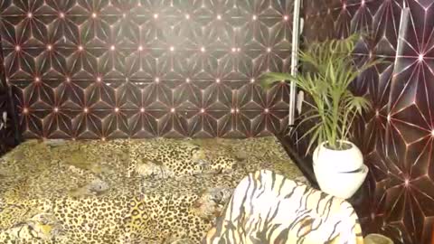 Cindy online show from January 2025 03:35:01 AM