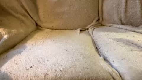 Snapshot of circlejerkslutt chatting on December 2024 04:53:02 PM join the circle online show from December 2024 04:53:02 PM