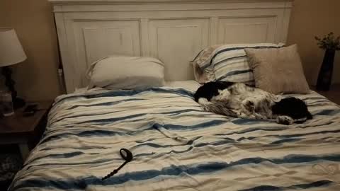 KingDing online show from October 2025 07:40:02 AM