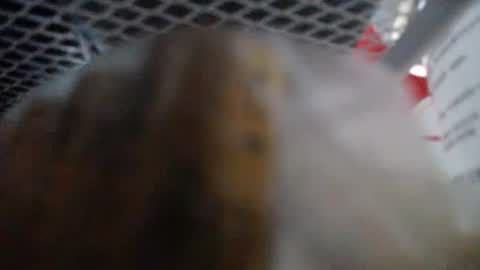 487699 online show from January 2026 09:15:02 AM