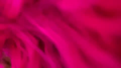 clarkshammer95 online show from March 2025 09:26:02 PM