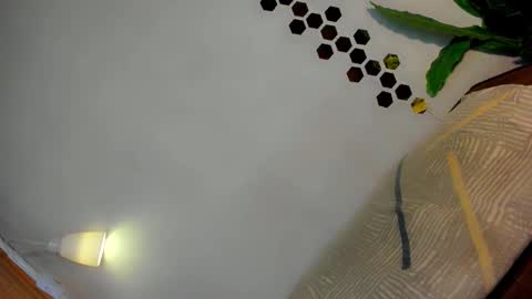 Snapshot of classy_bombshellxx chatting on January 2026 03:17:02 PM Amanda trans red one Anna Girl black one online show from January 2026 03:17:02 PM