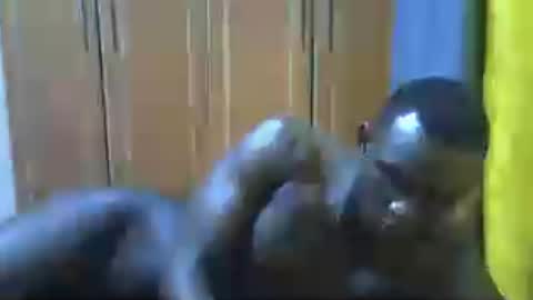 clive_damian online show from July 2026 05:56:02 PM