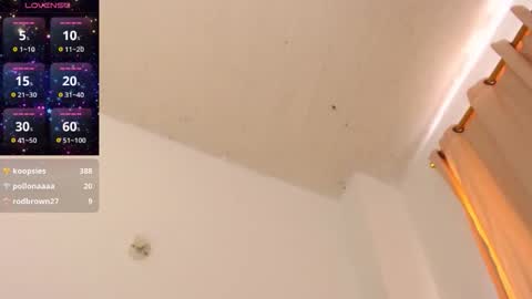 CLOE online show from November 2025 02:51:01 PM