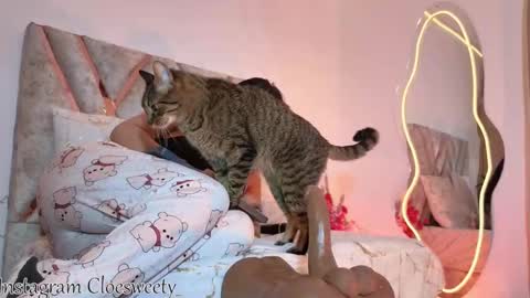 CLOE online show from September 2025 11:17:02 PM