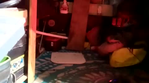 Snapshot of clubberlang10 chatting on January 2025 09:39:02 AM HeyTurkeyBoy online show from January 2025 09:39:02 AM