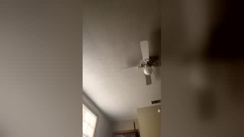 cm653925 online show from February 2026 01:38:02 PM