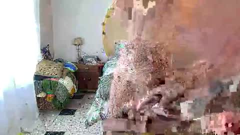 cmapetitebite online show from February 2026 12:09:02 PM