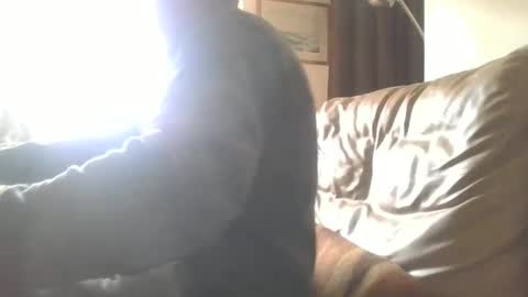 Snapshot of cock9635 chatting on December 2024 07:55:01 AM cock9635 online show from December 2024 07:55:01 AM