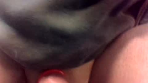 cocksmithog online show from January 2025 11:43:01 PM