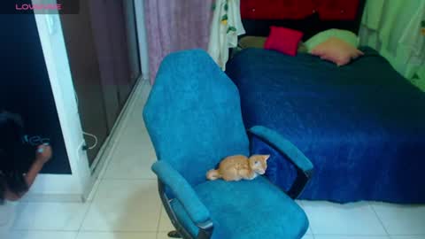 coco_macr online show from July 2026 04:30:01 AM