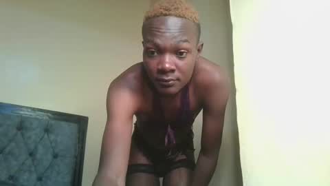 Cocoa online show from January 2025 08:29:01 AM