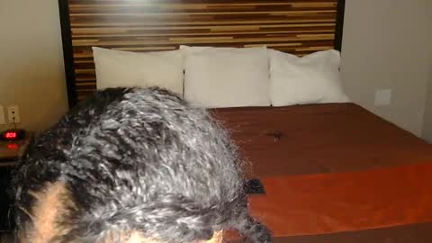 chanel online show from March 2026 09:10:01 PM