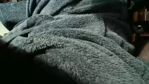 Snapshot of colchuck chatting on February 2026 02:39:02 PM colchuck online show from February 2026 02:39:02 PM