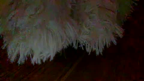Snapshot of colobby007 chatting on March 2025 11:33:01 PM colobby007 online show from March 2025 11:33:01 PM