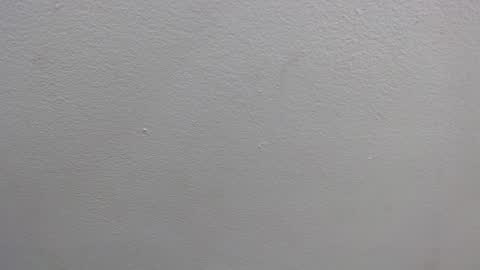 Snapshot of colombia_mommy_ chatting on January 2025 12:31:01 PM GRETCHEN online show from January 2025 12:31:01 PM