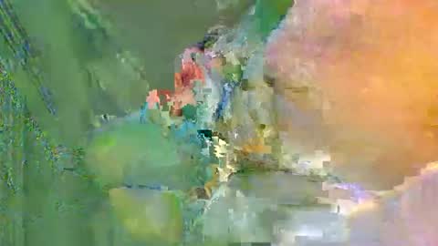 colourlight online show from November 2025 12:10:02 AM