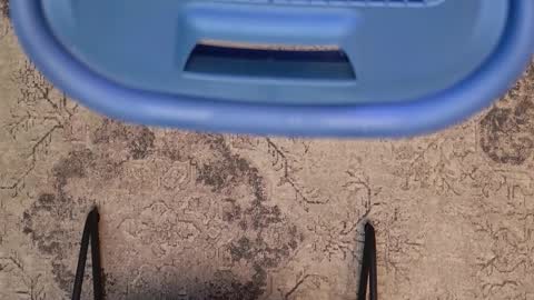 Jhoan online show from February 2026 12:09:01 AM