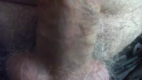 comox online show from December 2024 05:59:01 AM