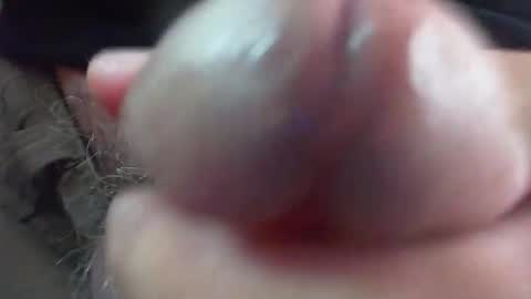 comox online show from January 2026 08:40:02 AM