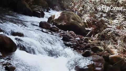 Connor Flyn online show from December 2024 08:47:01 AM