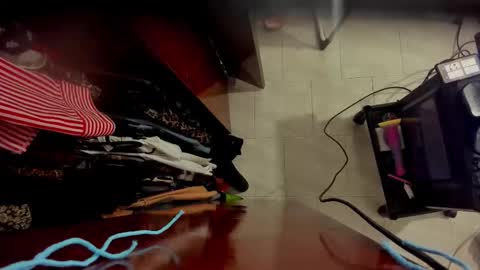 CONNY online show from February 2026 05:51:02 AM