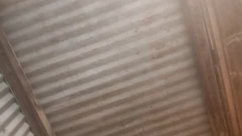 Snapshot of cookie_j22 chatting on February 2026 06:31:02 AM Jaiscookie cum play with me online show from February 2026 06:31:02 AM