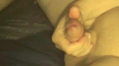 cookieforme online show from September 2025 08:30:02 PM