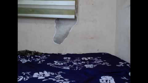 Snapshot of cornxslut chatting on September 2025 07:03:01 PM cornxslut online show from September 2025 07:03:01 PM