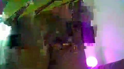 costybreed online show from February 2026 05:44:02 AM