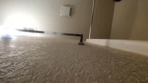 countdownsub online show from January 2025 10:34:02 AM