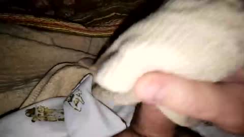 countdownsub online show from March 2026 04:44:02 PM