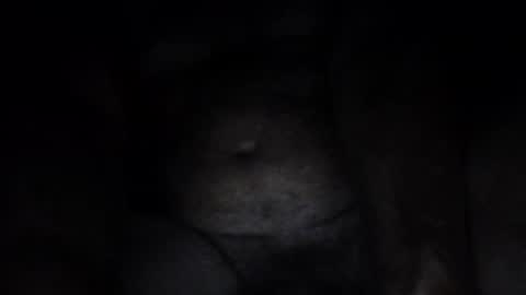                 online show from June 2026 12:13:02 PM