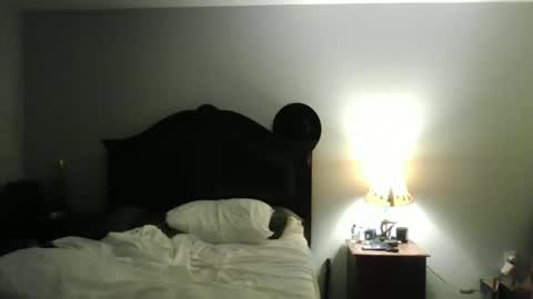 cowboy190087 online show from February 2026 03:05:02 AM